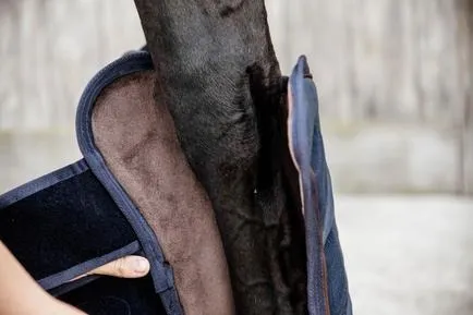 Kentucky Horsewear Travel Boots